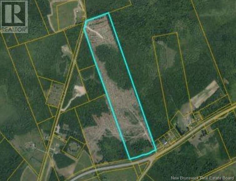 Lot Route 16, Timber River, New Brunswick E4M 3A5 - Photo 1 - NB111431