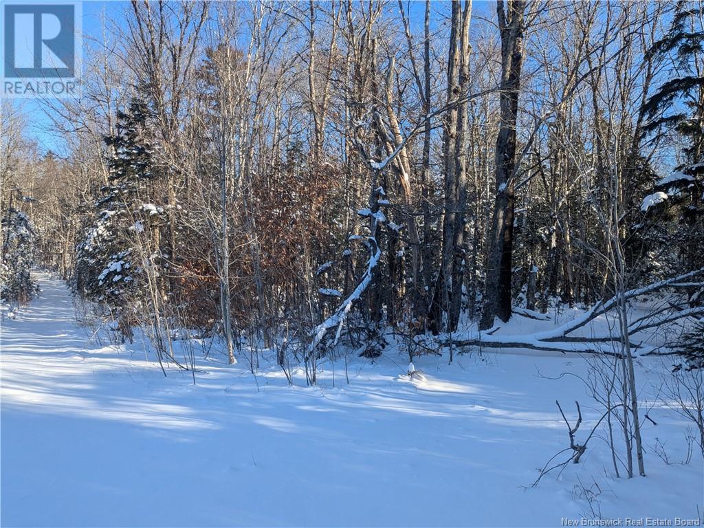 2789 Route 760, Saint Patrick, New Brunswick  E5C 1T2 - Photo 1 - NB111588
