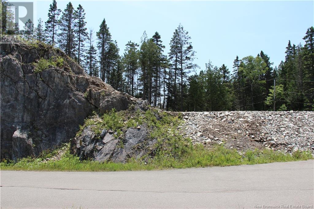 100 Drury Cove Road, Saint John, New Brunswick E2J 2Z8 - Photo 3 - NB111716