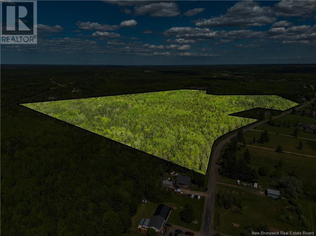 Lot 11 Mollins Road, Colpitts Settlement, New Brunswick E4J 2X4 - Photo 22 - NB111798