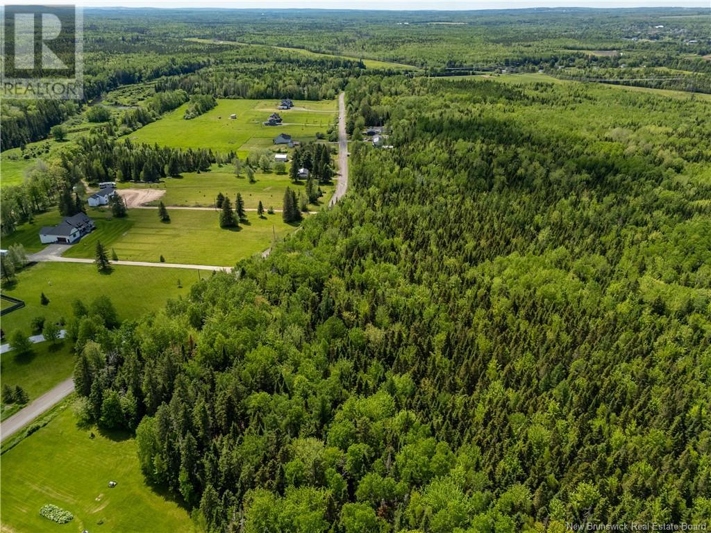 Lot 11 Mollins Road, Colpitts Settlement, New Brunswick E4J 2X4 - Photo 7 - NB111798