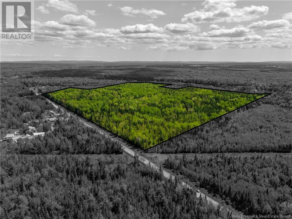 Lot 4 Route 895, Colpitts Settlement, New Brunswick  E4J 2Z5 - Photo 10 - NB111789