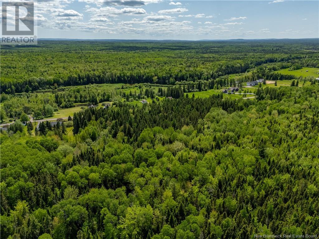 Lot 3 Route 895, Colpitts Settlement, New Brunswick E4J 2Z5 - Photo 17 - NB111788