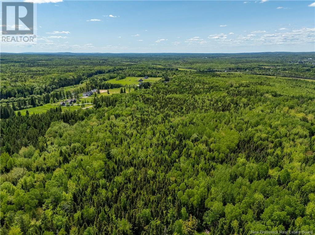 Lot 3 Route 895, Colpitts Settlement, New Brunswick E4J 2Z5 - Photo 18 - NB111788