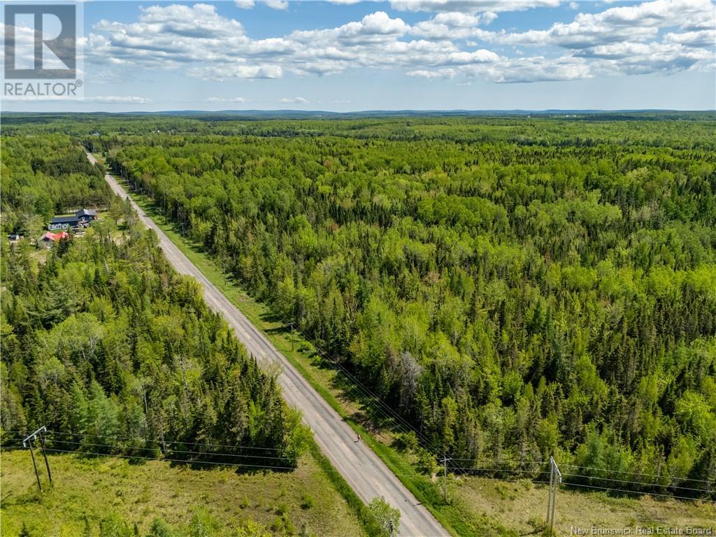 Lot 3 Route 895, Colpitts Settlement, New Brunswick E4J 2Z5 - Photo 22 - NB111788