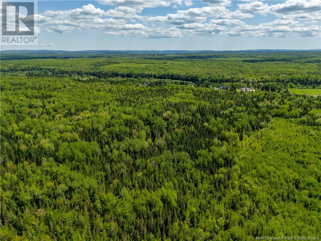 Lot 2 Route 895, Colpitts Settlement, New Brunswick  E4J 2Z5 - Photo 21 - NB111787