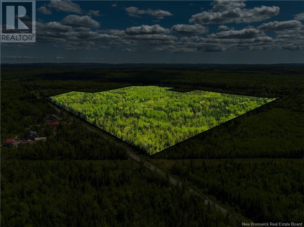 Lot 2 Route 895, Colpitts Settlement, New Brunswick  E4J 2Z5 - Photo 8 - NB111787