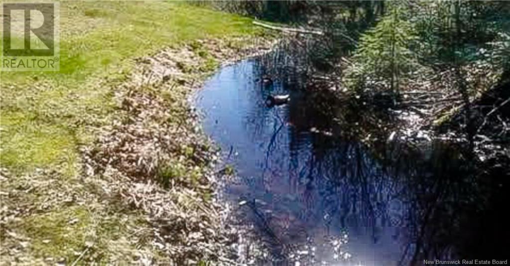 41 Comeau, Saint-Louis-De-Kent, New Brunswick E4X 1R3 - Photo 6 - NB111829