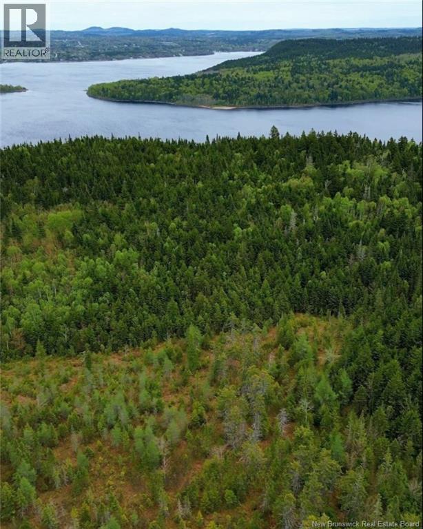 1431 845 Route, Clifton Royal, New Brunswick E2S 2G4 - Photo 1 - NB111607