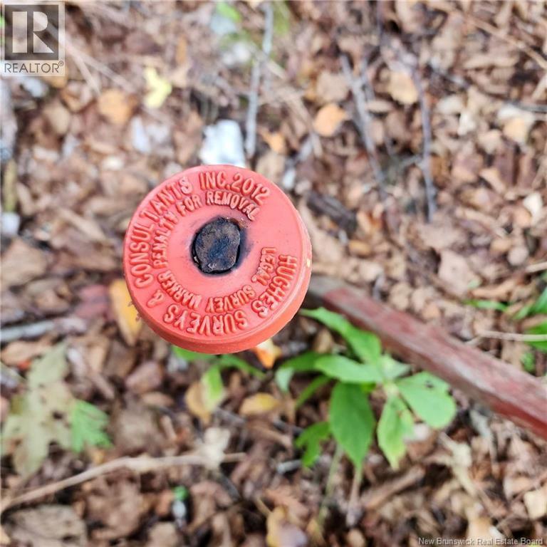 1431 845 Route, Clifton Royal, New Brunswick E2S 2G4 - Photo 10 - NB111607