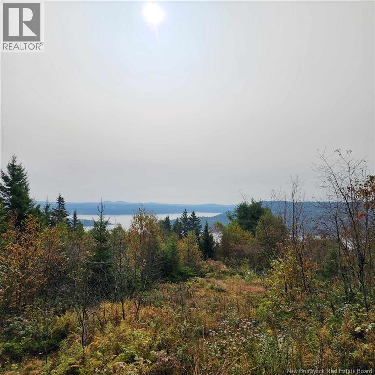 1431 845 Route, Clifton Royal, New Brunswick E2S 2G4 - Photo 4 - NB111607