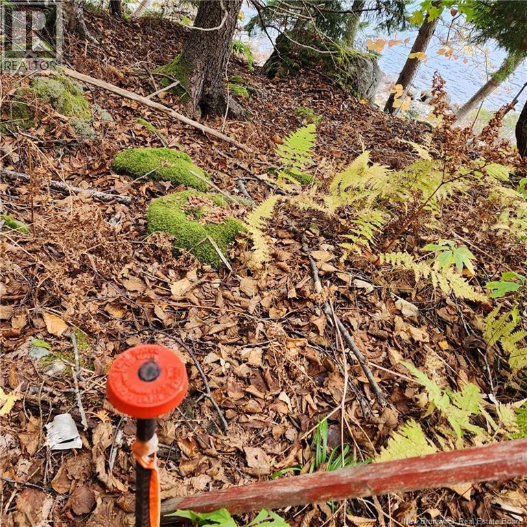 1431 845 Route, Clifton Royal, New Brunswick E2S 2G4 - Photo 7 - NB111607