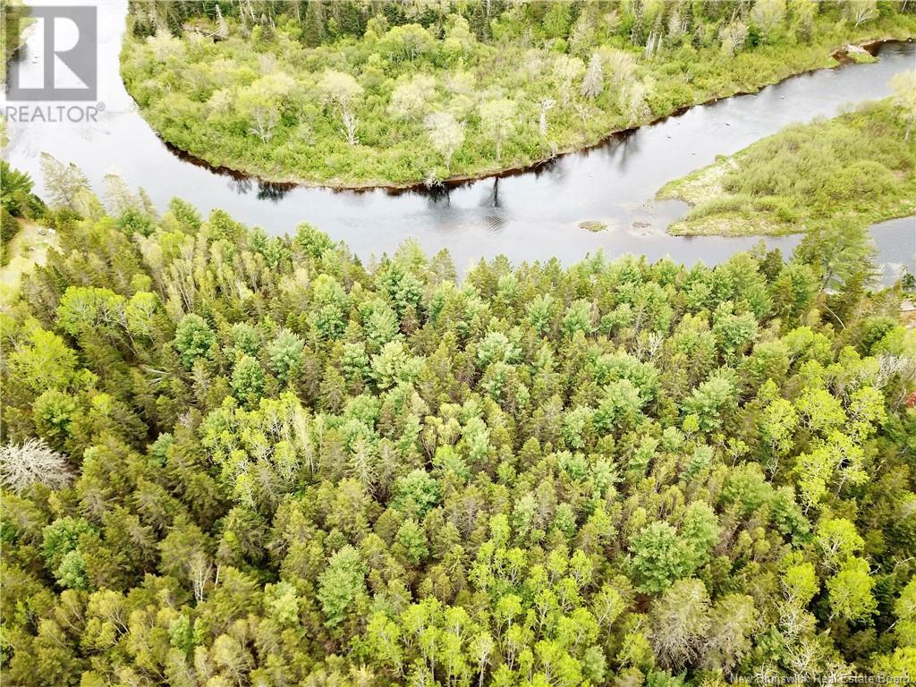 Dufour Road, Piskahegan, New Brunswick E5C 0A8 - Photo 12 - NB111843