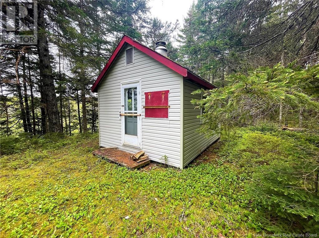 Dufour Road, Piskahegan, New Brunswick E5C 0A8 - Photo 39 - NB111843