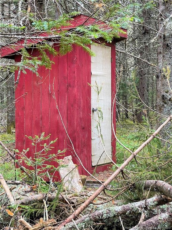 Dufour Road, Piskahegan, New Brunswick E5C 0A8 - Photo 41 - NB111843