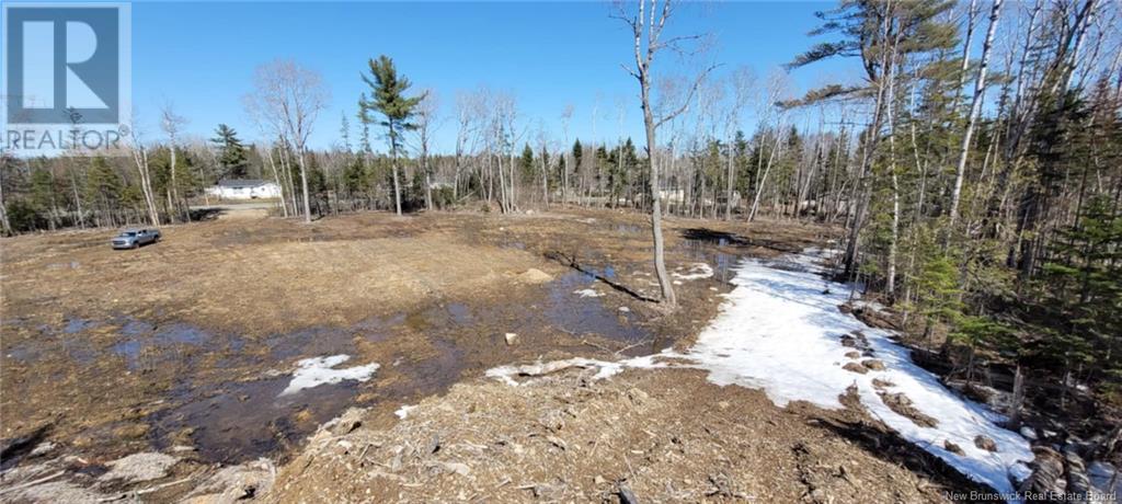 0 Route 425, Strathadam, New Brunswick E9E 1H3 - Photo 2 - NB111859