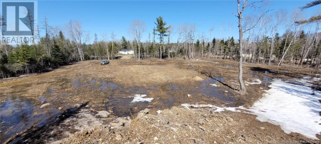 0 Route 425, Strathadam, New Brunswick E9E 1H3 - Photo 3 - NB111859