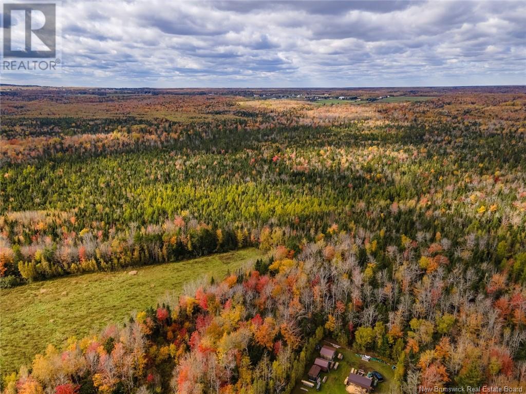 Lot Maclean Crossroad, Irishtown, New Brunswick E1H 1R6 - Photo 7 - NB111895