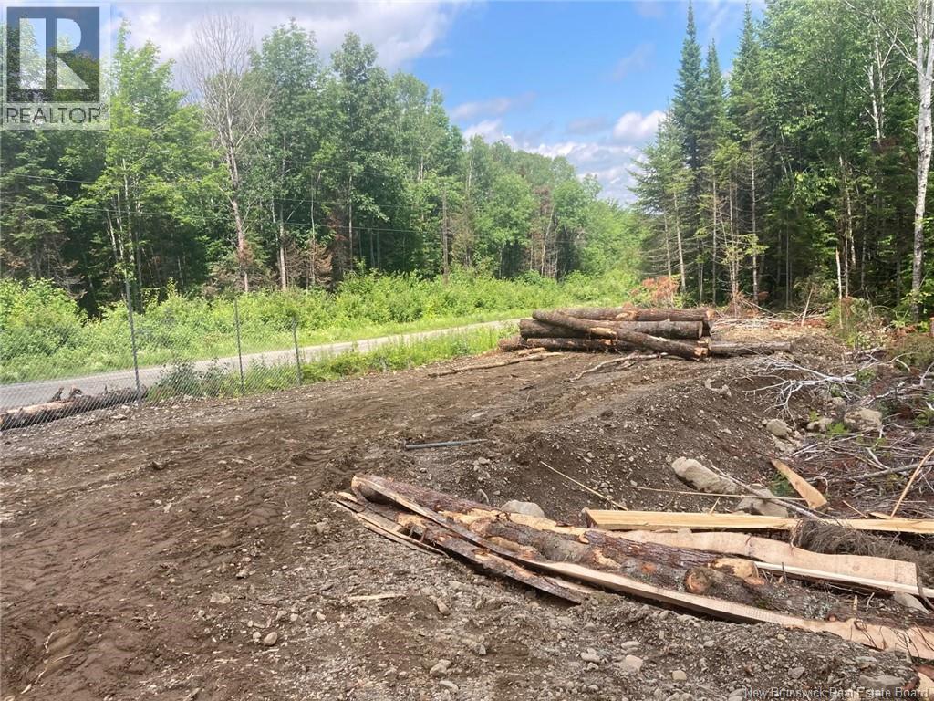 Lot Critter Road, Lower Woodstock, New Brunswick E7N 2P7 - Photo 10 - NB111956