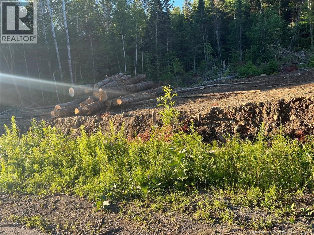 Lot Critter Road, Lower Woodstock, New Brunswick E7N 2P7 - Photo 11 - NB111956