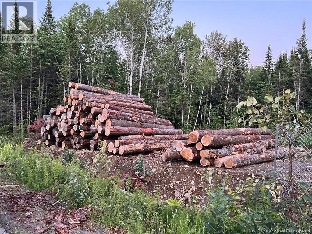 Lot Critter Road, Lower Woodstock, New Brunswick E7N 2P7 - Photo 12 - NB111956
