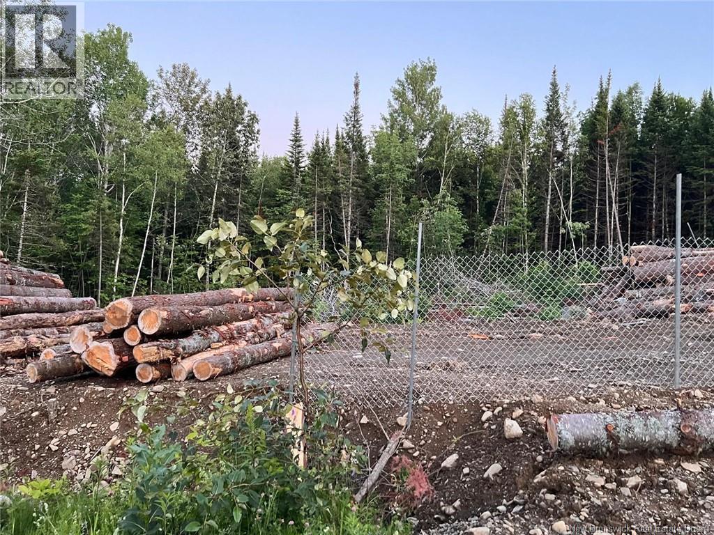 Lot Critter Road, Lower Woodstock, New Brunswick E7N 2P7 - Photo 13 - NB111956