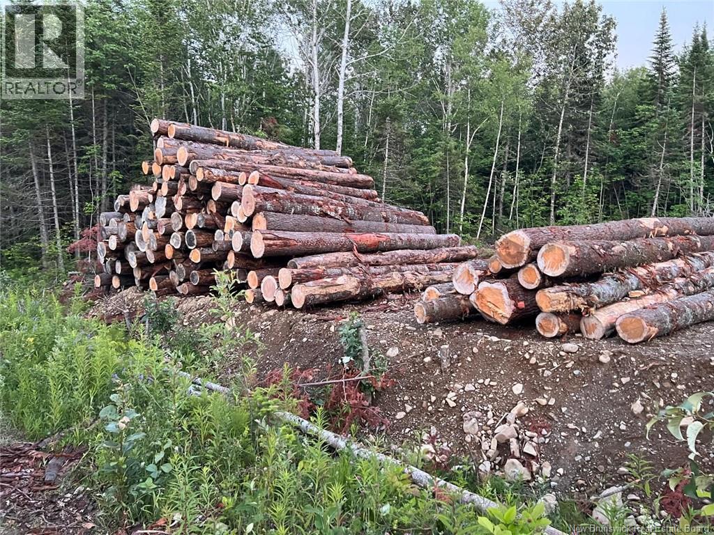 Lot Critter Road, Lower Woodstock, New Brunswick E7N 2P7 - Photo 14 - NB111956