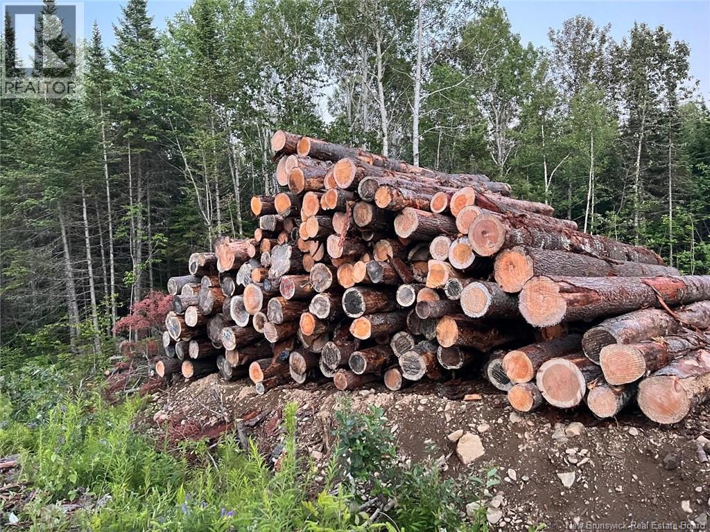 Lot Critter Road, Lower Woodstock, New Brunswick E7N 2P7 - Photo 15 - NB111956