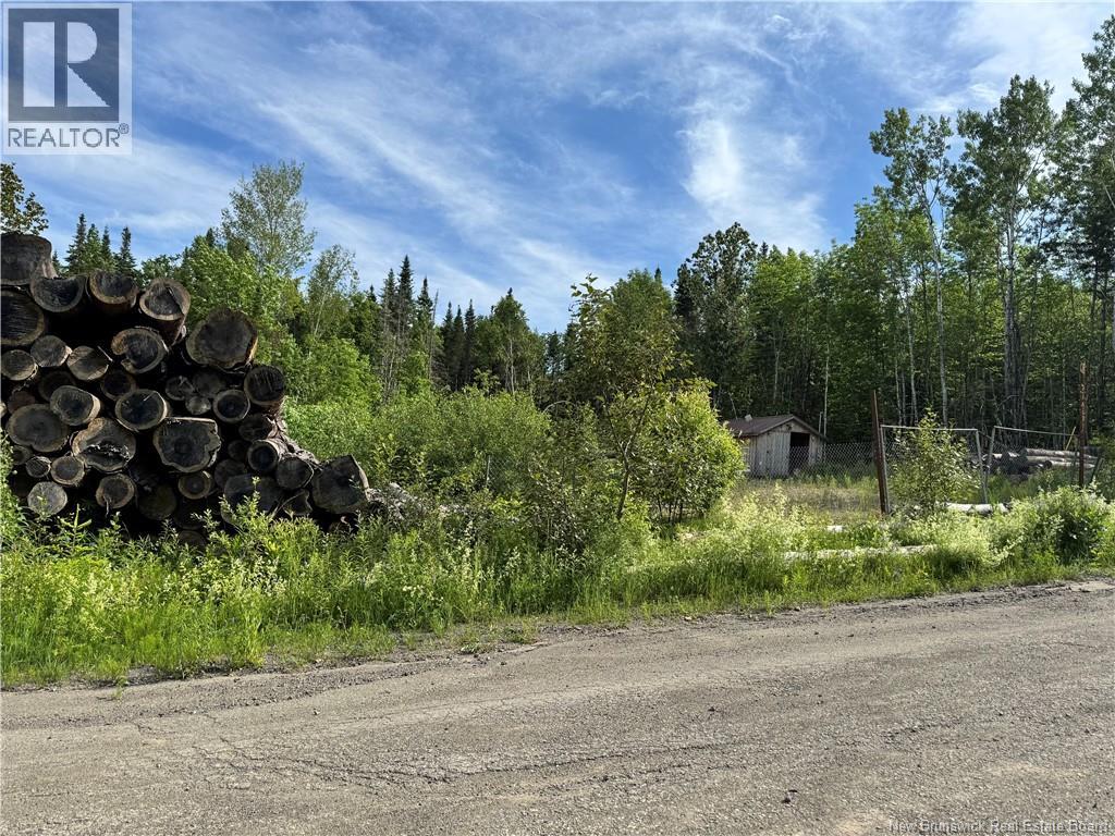 Lot Critter Road, Lower Woodstock, New Brunswick E7N 2P7 - Photo 4 - NB111956