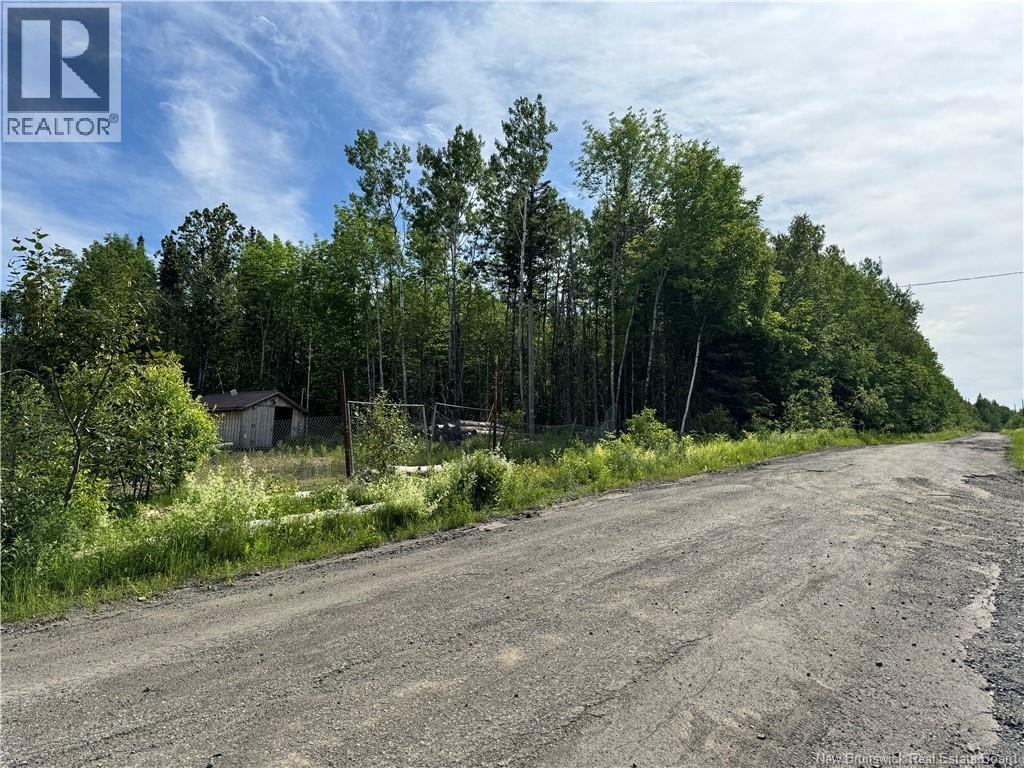 Lot Critter Road, Lower Woodstock, New Brunswick E7N 2P7 - Photo 5 - NB111956