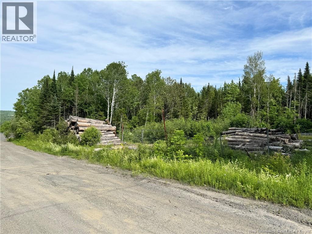 Lot Critter Road, Lower Woodstock, New Brunswick E7N 2P7 - Photo 6 - NB111956