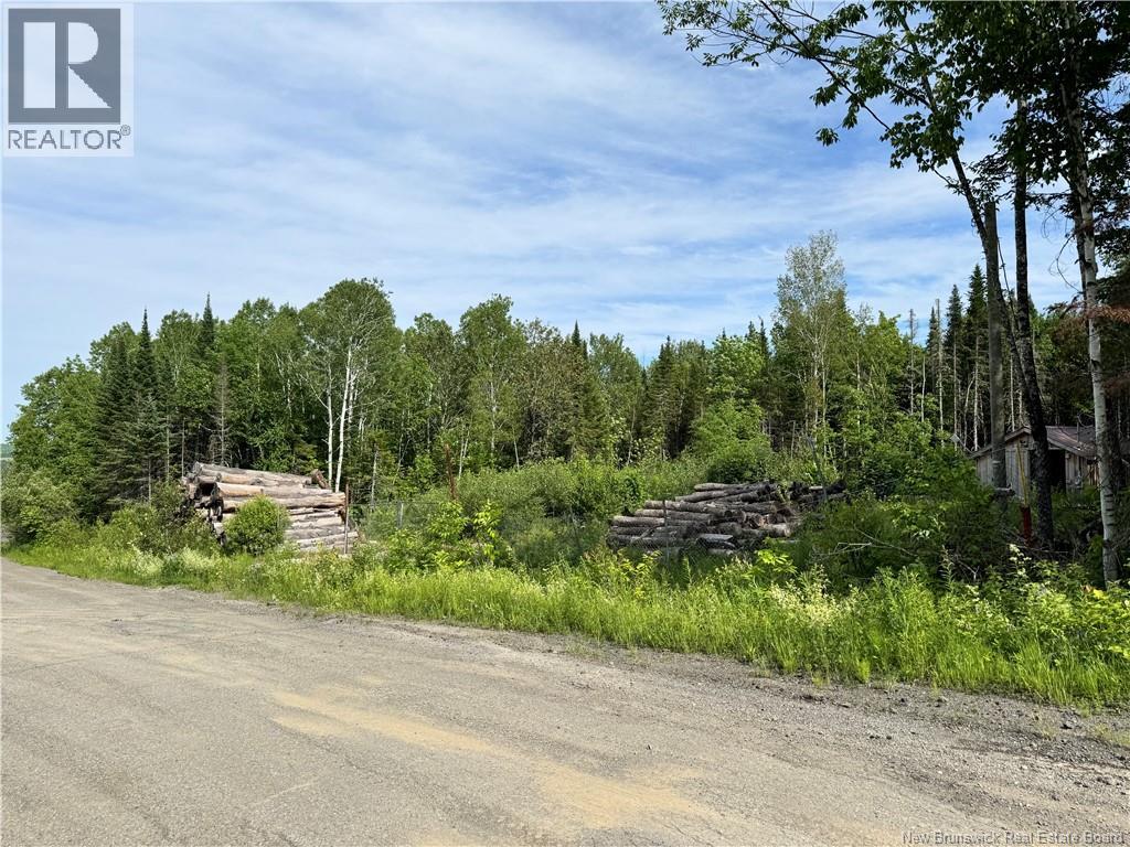Lot Critter Road, Lower Woodstock, New Brunswick E7N 2P7 - Photo 7 - NB111956