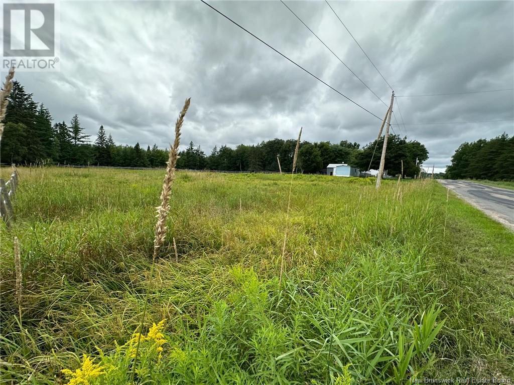 Collina Road, Studholm, New Brunswick E5P 3W3 - Photo 1 - NB112007