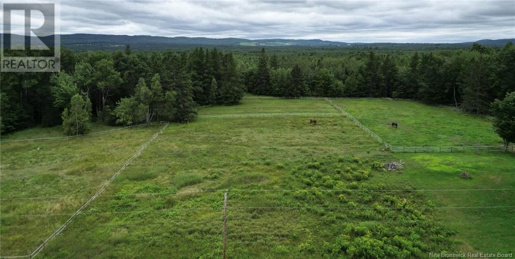 Collina Road, Studholm, New Brunswick E5P 3W3 - Photo 4 - NB112007