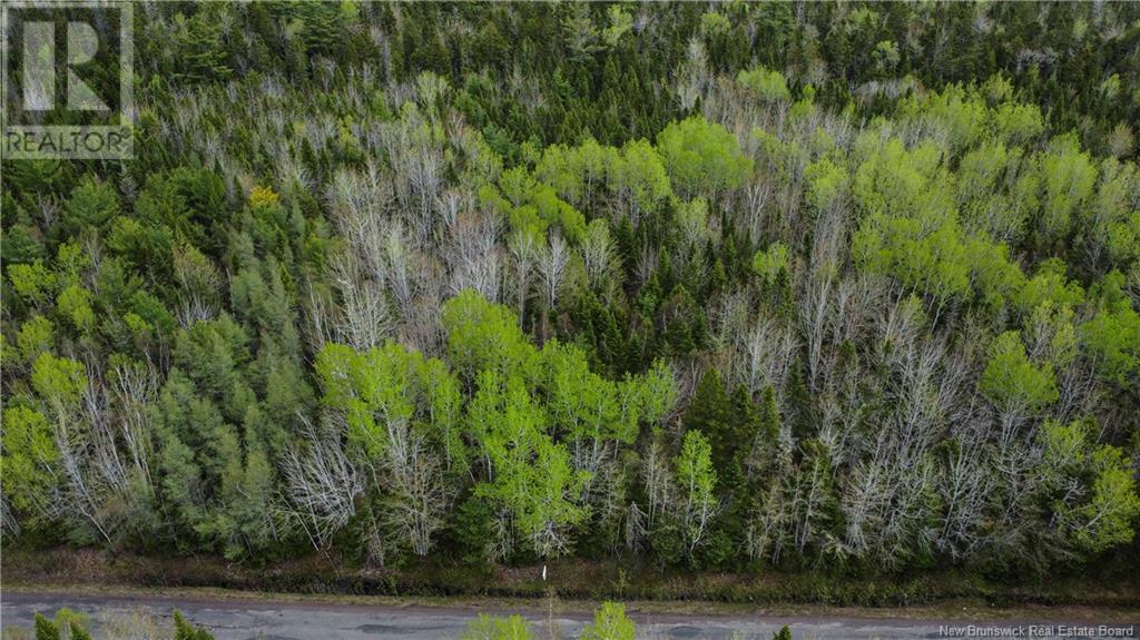 Lot 79-7 Des Dallaires, Sainte-Marie-De-Kent, New Brunswick  E4S 1S8 - Photo 3 - NB111996