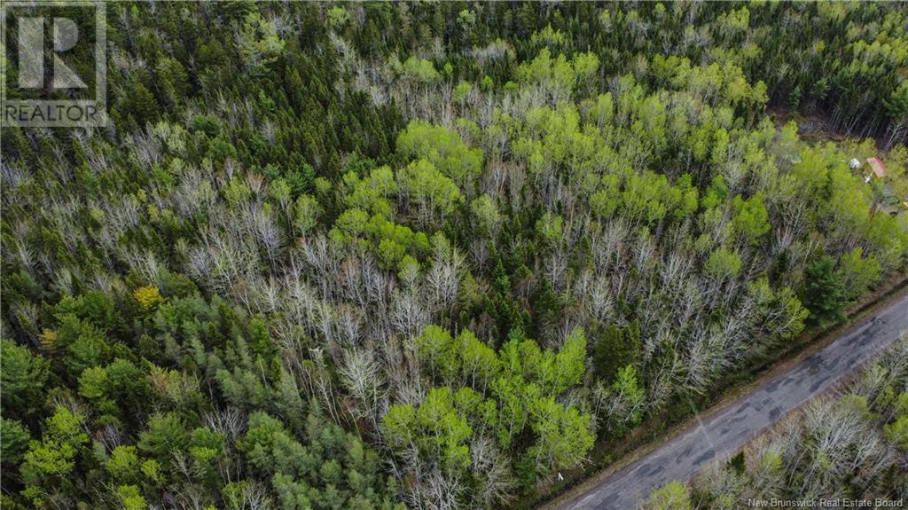 Lot 79-7 Des Dallaires, Sainte-Marie-De-Kent, New Brunswick  E4S 1S8 - Photo 5 - NB111996