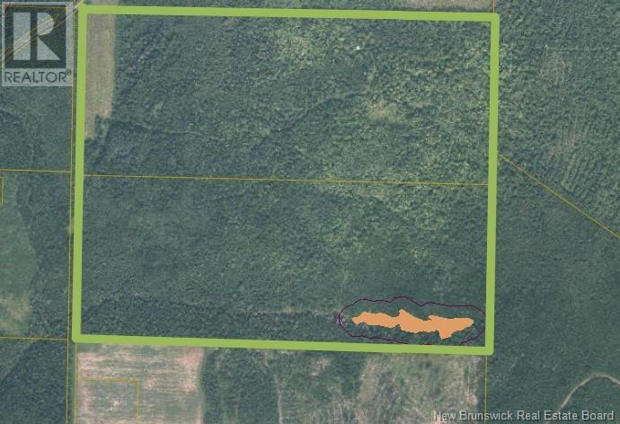 200 Acres Walker Road, South Tilley, New Brunswick E7H 5E4 - Photo 1 - NB112098