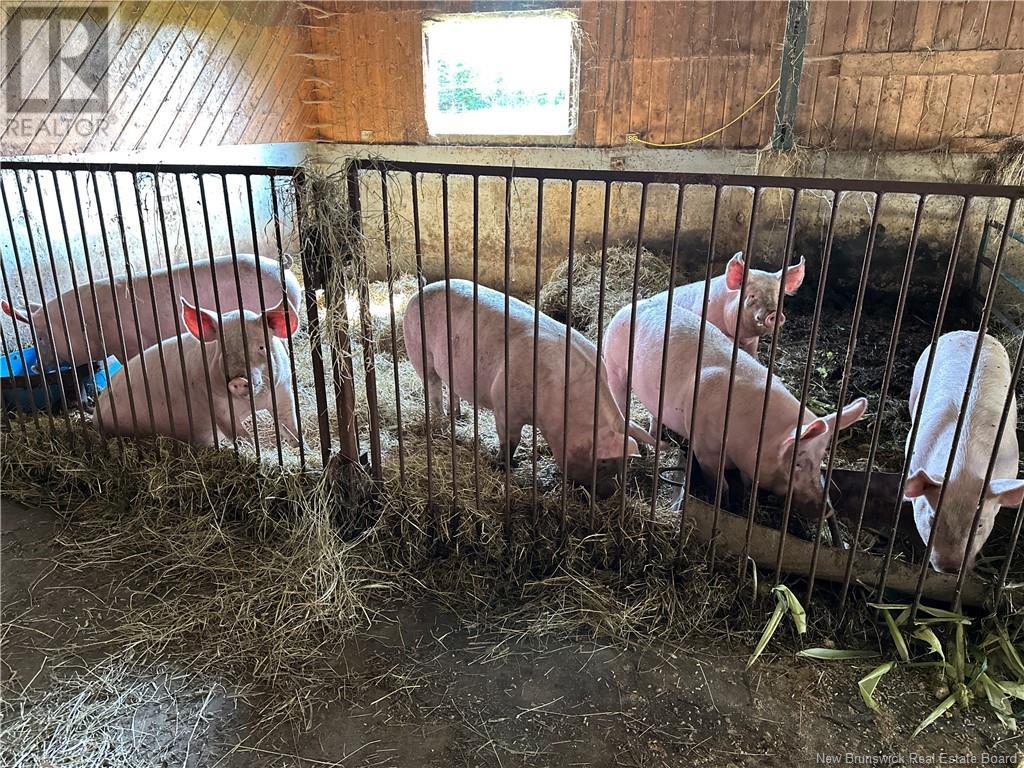 North View Road, North View, New Brunswick  E7G 2J8 - Photo 6 - NB112121