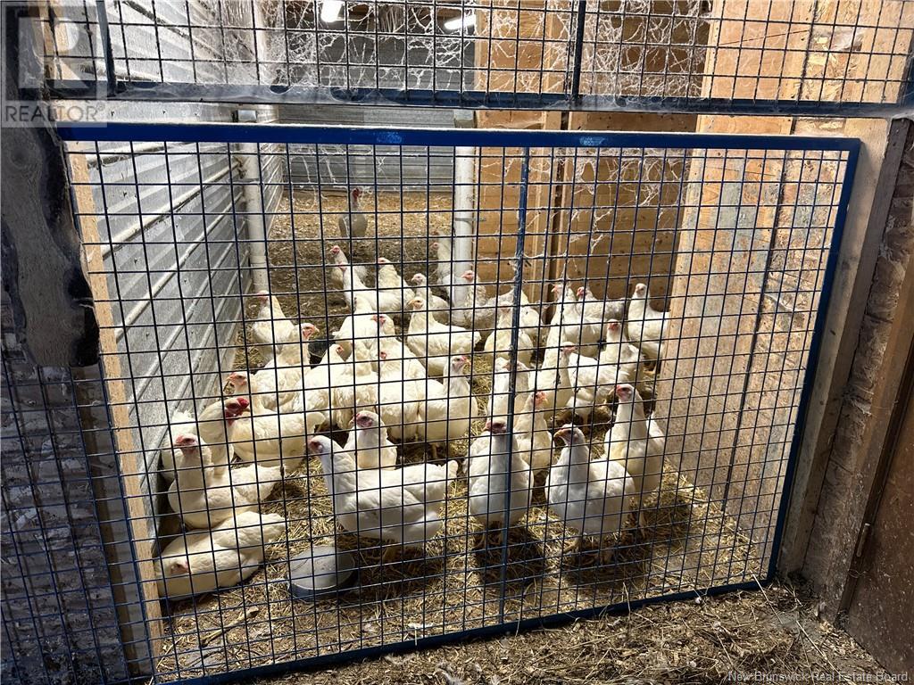 North View Road, North View, New Brunswick  E7G 2J8 - Photo 8 - NB112121