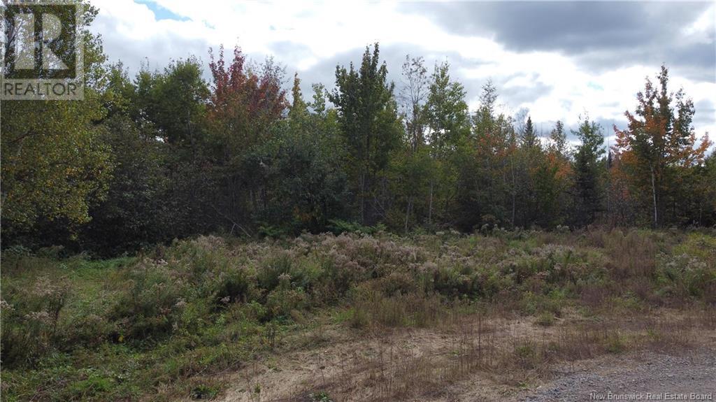 395 Route 630, Andersonville, New Brunswick E5A 1C8 - Photo 12 - NB111889