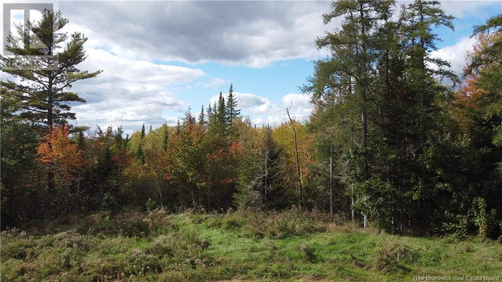 395 Route 630, Andersonville, New Brunswick E5A 1C8 - Photo 13 - NB111889