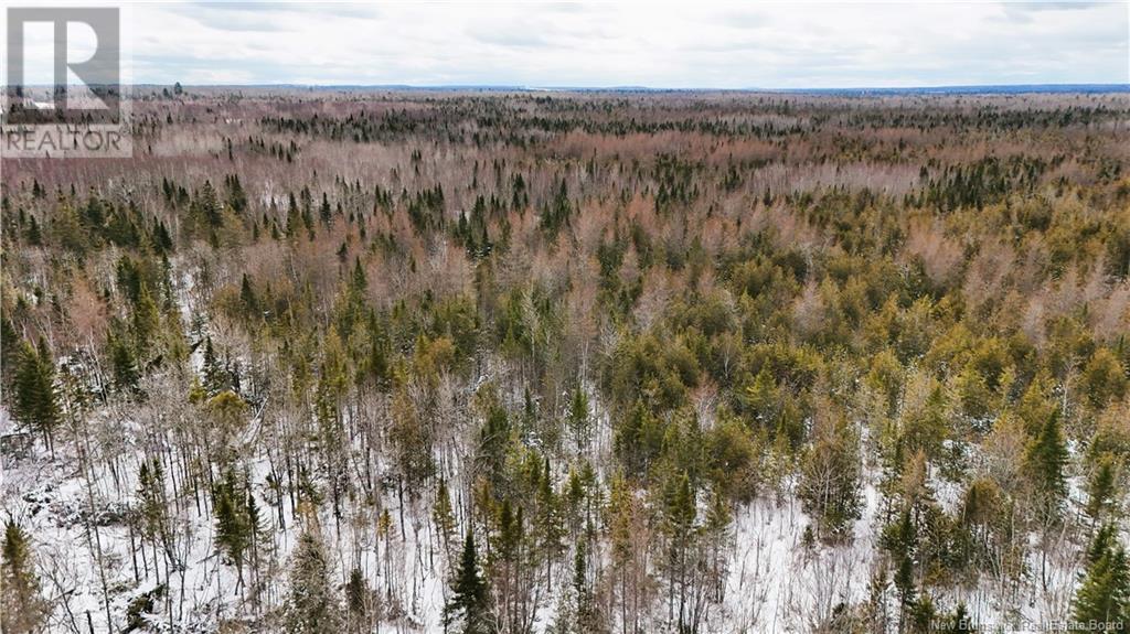 395 Route 630, Andersonville, New Brunswick E5A 1C8 - Photo 3 - NB111889