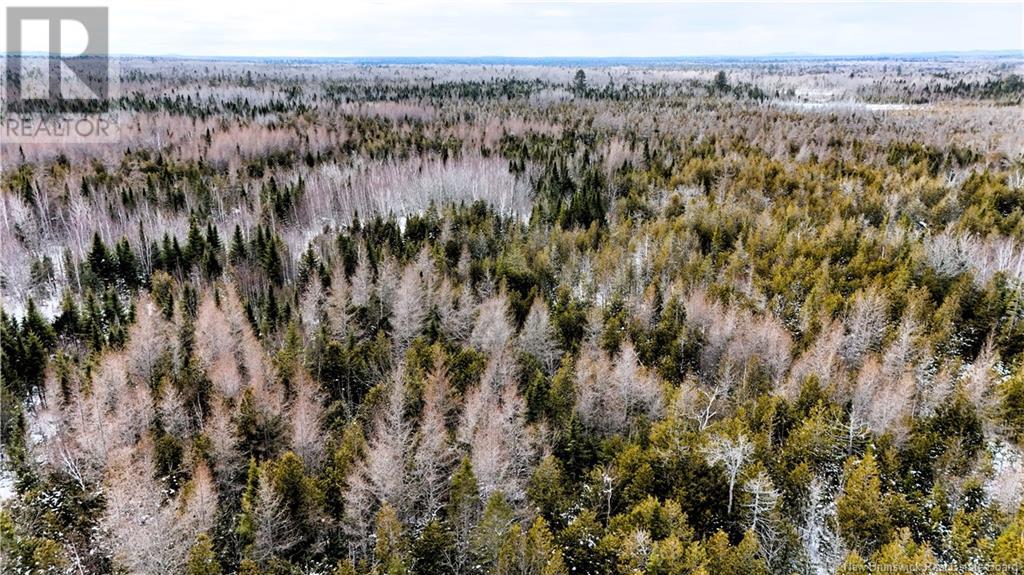 395 Route 630, Andersonville, New Brunswick E5A 1C8 - Photo 5 - NB111889