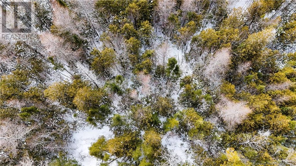 395 Route 630, Andersonville, New Brunswick E5A 1C8 - Photo 6 - NB111889