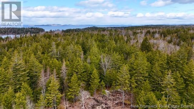 806 772 Route, Fairhaven, New Brunswick  E5V 1P3 - Photo 11 - NB112114