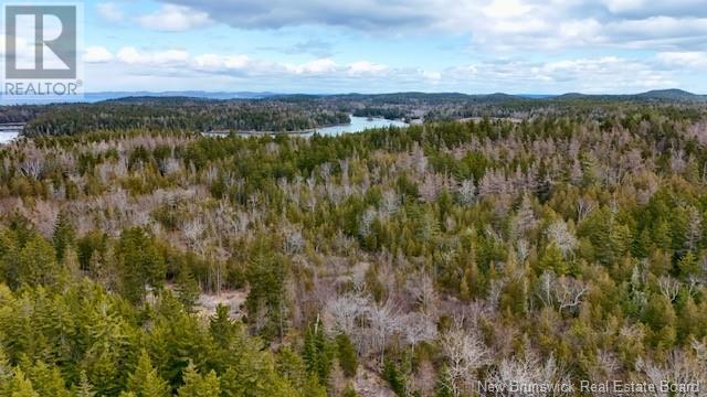 806 772 Route, Fairhaven, New Brunswick  E5V 1P3 - Photo 12 - NB112114