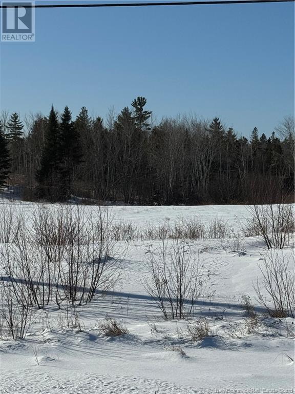 Lot D Route 134, Kouchibouguac, New Brunswick E4X 1N5 - Photo 2 - NB112251