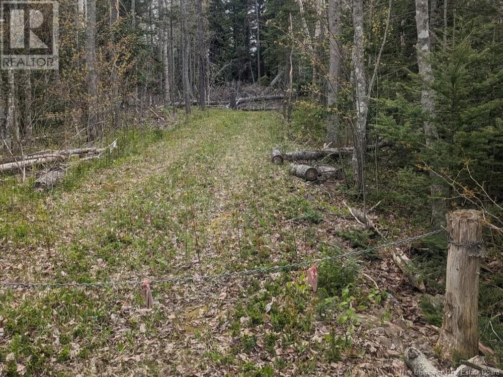 Lot Upper Cape Road, Botsford, New Brunswick E4M 2W7 - Photo 1 - NB112350