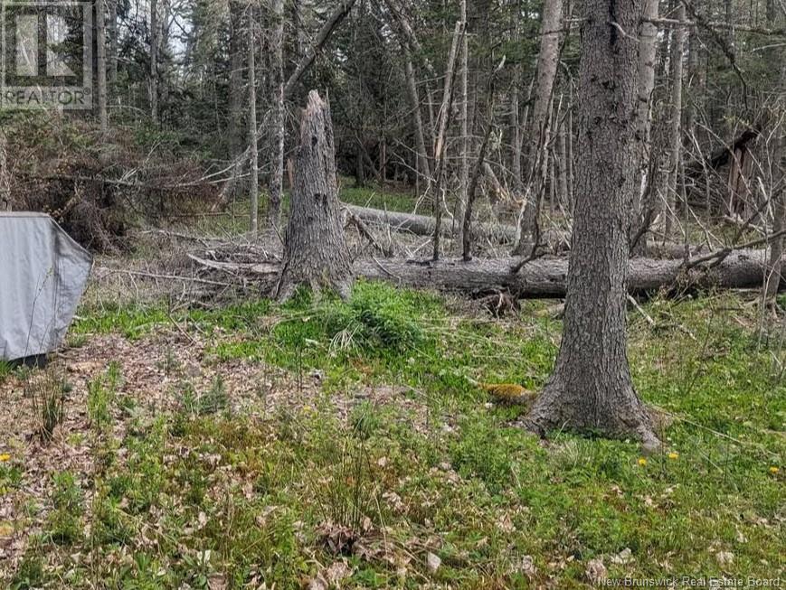 Lot Upper Cape Road, Botsford, New Brunswick E4M 2W7 - Photo 2 - NB112350