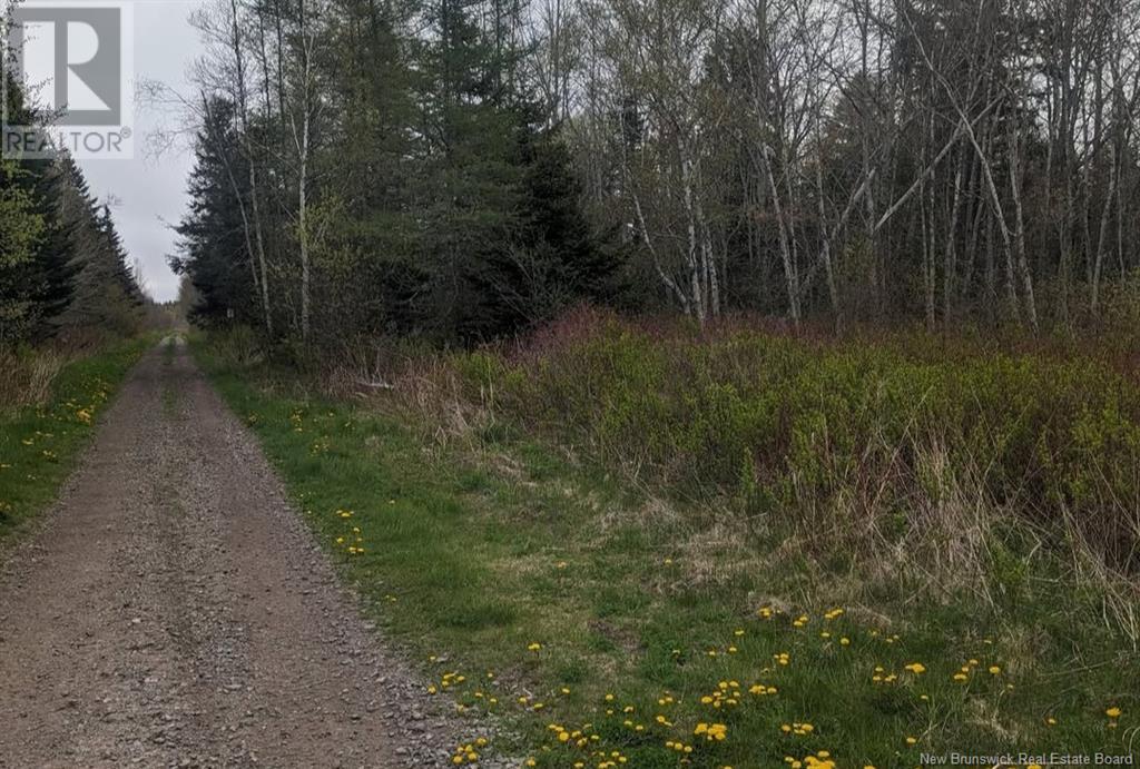 Lot Upper Cape Road, Botsford, New Brunswick E4M 2W7 - Photo 3 - NB112350